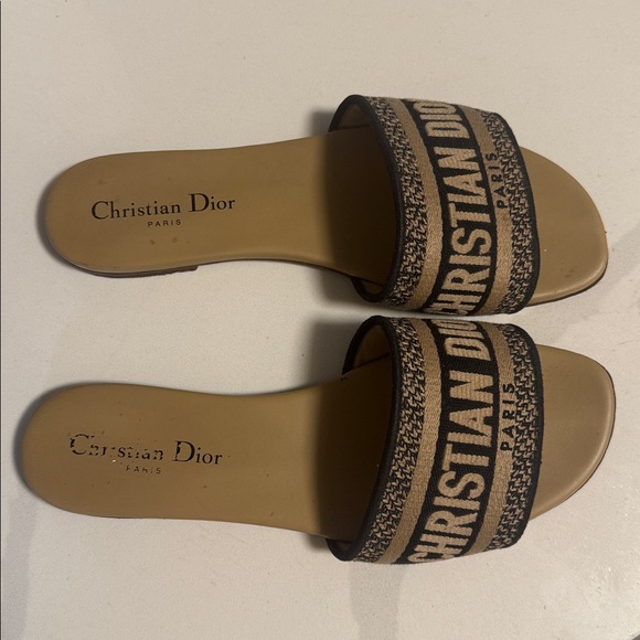 DIOR slide - Picture 6 of 13